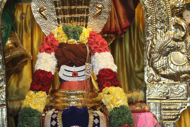 File:20200316 Photo 1010 1y3hisbEPxp8W4P3avkBcqLAEptf3OBc8.JPG