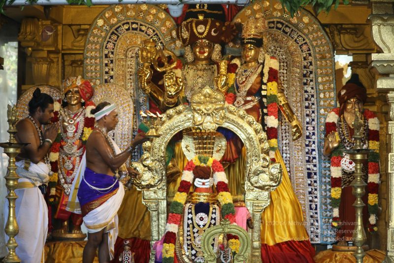 File:20200316 Photo 1021 1Pl9LhwjFGn5KAnVoVYOyM0gN9gp6kP8t.JPG