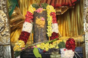 20200316 Photo 1024 1wKEQevQUZ40rzYotveJ p8x6CBSXfHhe.JPG