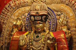 20200316 Photo 1031 1fyDKztqYPASQb8K3OJHgr7v5RWmdBqr2.JPG