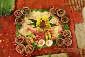 20200316 Photo 1042 1gGyRCQof7EPVHmWVz62O7Ogr4AykIzaL.JPG