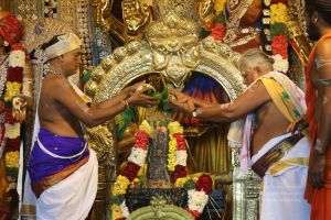 20200316 Photo 1049 1QorEtRrlDj5NckS2fAAWzkYZ8EPuCygB.JPG