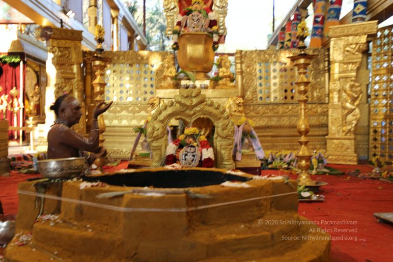 File:20200316 Photo 1059 1vOQ82g-sNZeWlUCMVoUr53TVBdEJt8b9.JPG