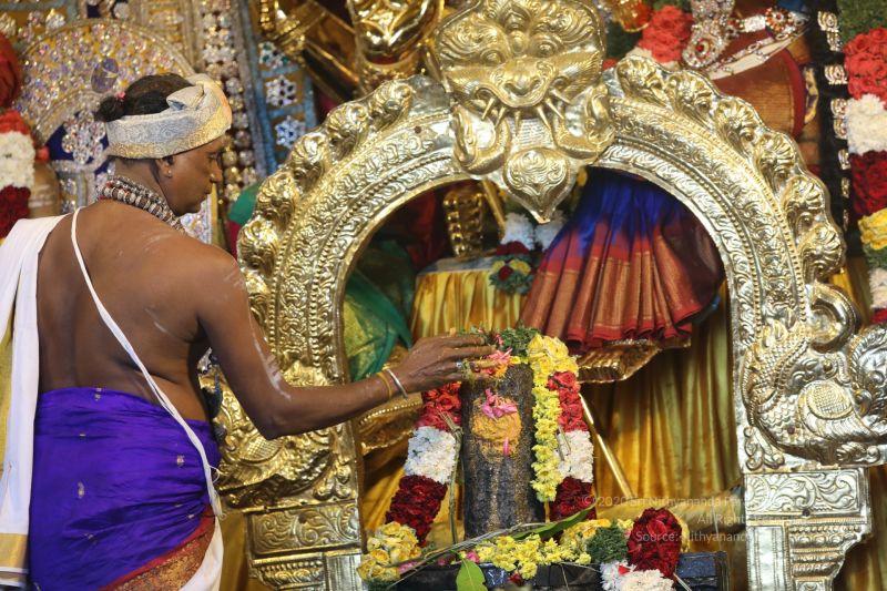 File:20200316 Photo 1061 1N1q8A63NrDGCAowwyf-0eJhemgTjTmaO.JPG