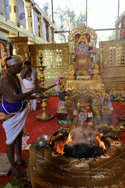 File:20200316 Photo 1062 10p2gcfqgkIugZaqYZYJFWD3fFcEccSmk.JPG