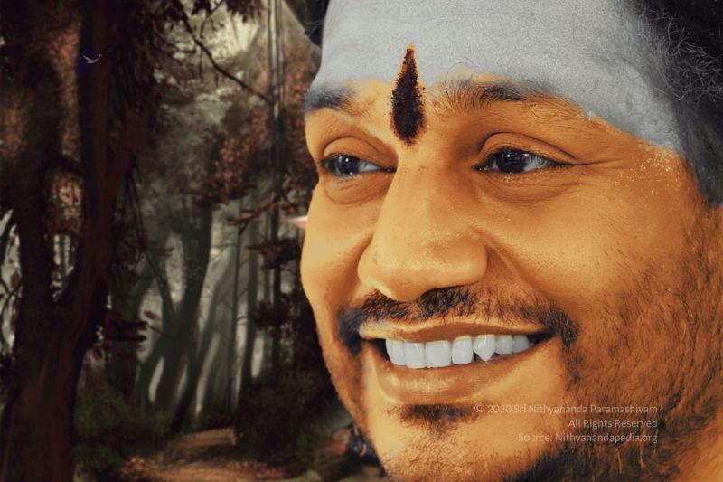 File:20200320 Photo 1046 1rv8bszv9kfx3DyludieyVHCG2I8iMhsx.JPG