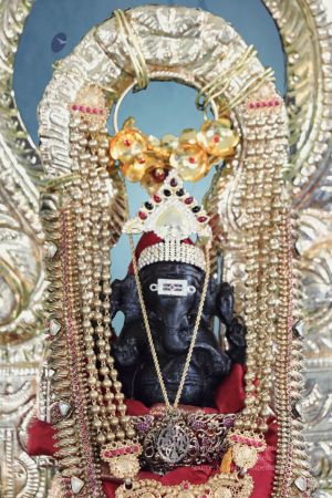 20200322 Photo 17 1Mye2MArYaTWcMQhnmdybNPehrGCaEpL7.jpg