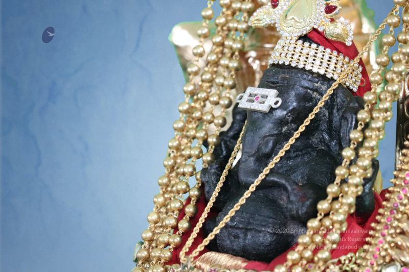 File:20200322 Photo 2 1vMFBWZEcJAlJ6LMIqQ5RUGcG8T8Fs9KY.jpg