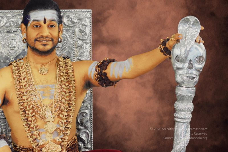 File:20200324 Photo 1001 1sYkFelUoylceOlkhejH4oUcLPatmGCqQ.JPG