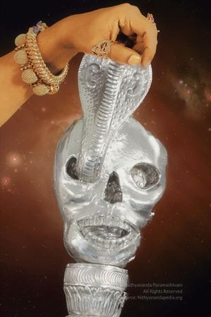 20200325 Photo 5 1sFMX2NJw3XImP1bL7pJ8G9TSOODHPDG3.jpg