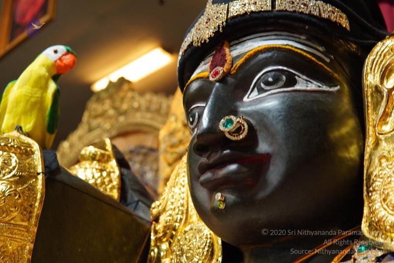 File:20200326 Photo 1005 1yd3RRbRf7zCWJ4qNmQ7vcbqYW7QmHqn6.JPG