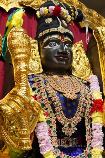 File:20200326 Photo 1015 1BWYzAejwP-4Bj9a Hbc1hSmHfmwSDpKU.JPG