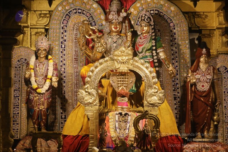 File:20200326 Photo 1032 1jjOwqGRF-pBk0EIVDeFB3bnqzDPP5N86.JPG