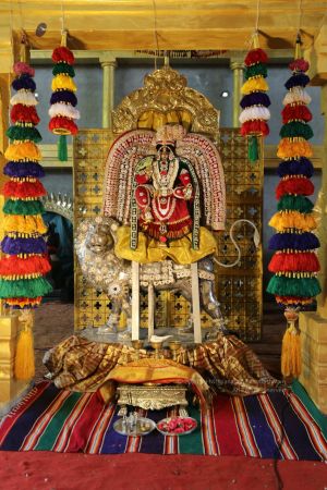 20200426 Photo 1002 1 V-LV3kHFDgfIbT6lx00zeh6i5crjtuV.JPG