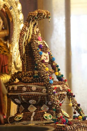 20200426 Photo 1008 1tTQlv4cApbUuIqDD4SeWqiBli2m1qHxf.JPG