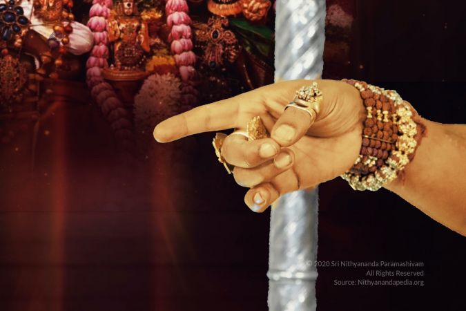 20200506 Photo 15 1oNpRXaENLIDA8bQ5-h4xbMi6Jq84P69v.jpg