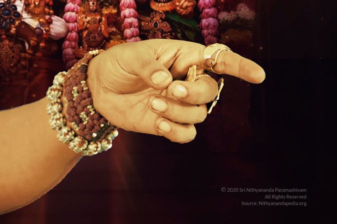 20200506 Photo 16 1QfauVHLGFnoe-0PiGWPVMbeOPGmWXRXh.jpg