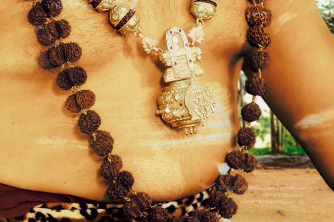 20200529 Photo 11 1yYWvqHJDeiDUsNyiXerKsPikg4naEw71.jpg