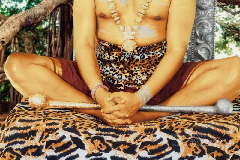 File:20200529 Photo 1 15O9eND8tYB3QDZlY- uVJyqOUyXD0rPR.jpg