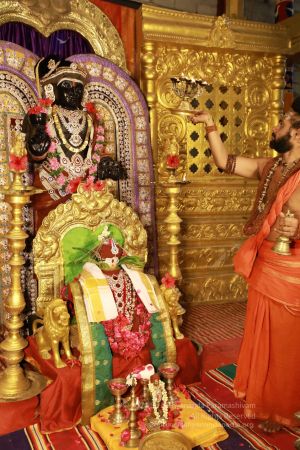 20200606 Photo 1075 18 f2vhT2aiYMfqOx7EWY1HrZHsdz 4RB.JPG