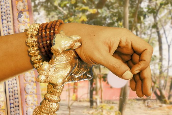 20200607 Photo 22 1hdi-upI5lzy2XPxZ5zWycQNrIuLN9kuT.jpg