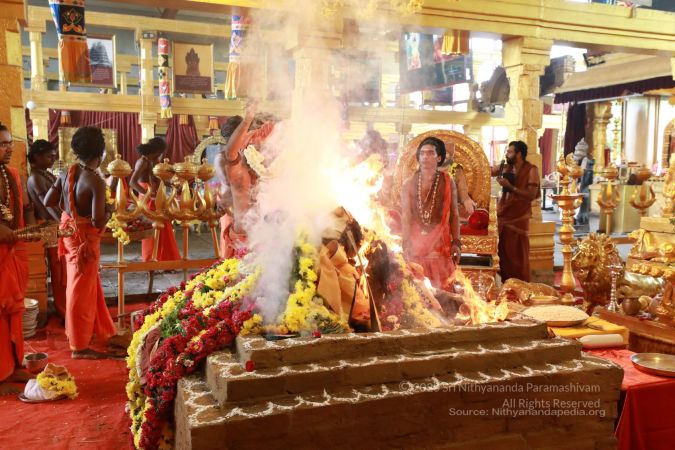 20200705 Photo 59 1D9jlNYEBa663HyxlnUk1NuvGI-6kD2vN.jpg