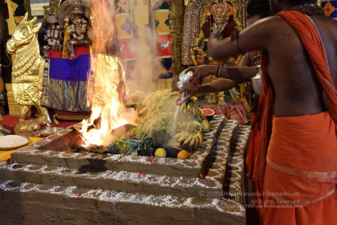 20200705 Photo 68 1Vy3GU3q2UqDONWLnPJJN-JFreQJc0cSX.jpg