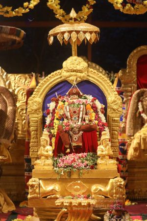 20200705 Photo 81 1zgOMyvAWw0rM XK9rBtQIaxU2kW2bj5f.jpg