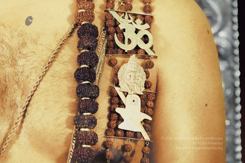 File:20200807 Photo 3 1TSMtUKVg Xq4aQ6ogQWSwB2Z6AmMYt2G.jpg