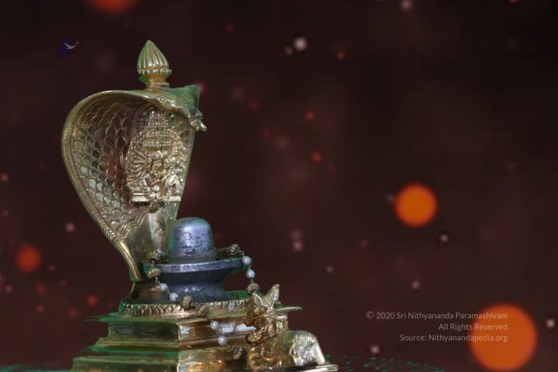 File:20200808 Photo 1011 1BsWBfoFE5RcXIBKX9fJg2yOEUhEpjOFv.JPG