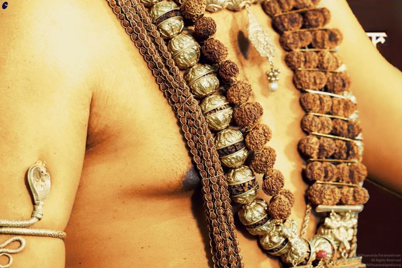 File:20200906 Photo 1 16JcYA0PMIWhRsELPEynurDSrJHE4JTxi.jpg