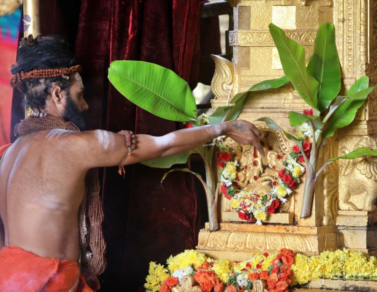 File:20201124 Photo 1017 1BBca9HeZeJSvEf t6XzLIwWUItl5u7CY.JPG