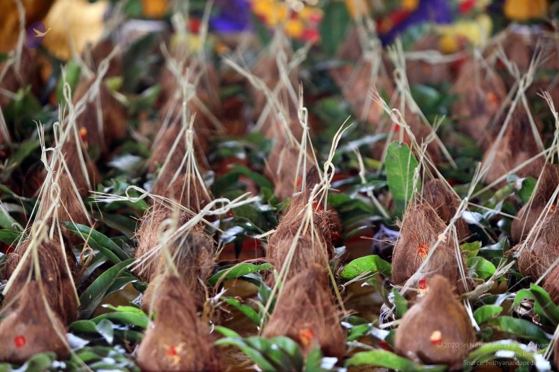 File:20201124 Photo 1024 1zAOsXw7-9FCc7Bhw800S6WHCWpcQhWaL.JPG