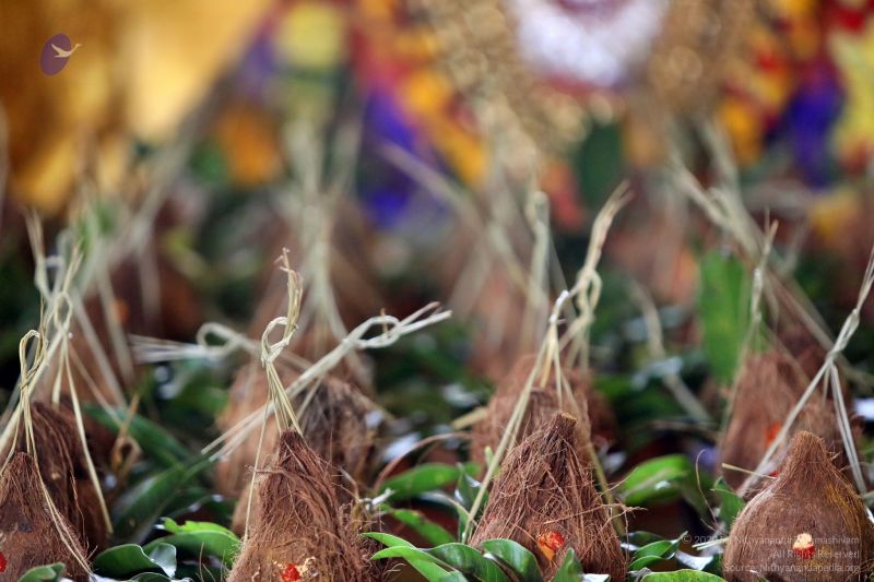 File:20201124 Photo 1026 1GBWVZCMq JmQHXf5ZhEeXsV3OPctQUUs.JPG