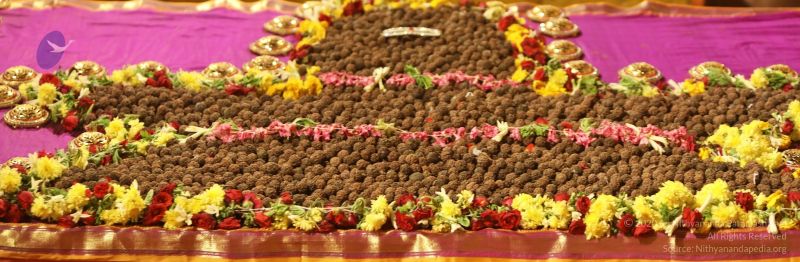 File:20201124 Photo 1030 1GdaAkp86WFLQ13PUDC9kOKh1KQkjhQzK.JPG