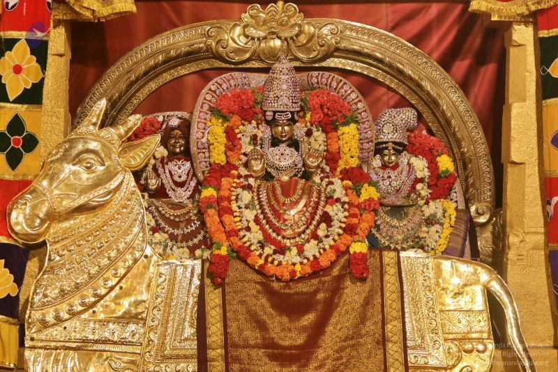 File:20201124 Photo 1035 1twiLBufw2mR76RiUDVFtWA668lMVf 2s.JPG