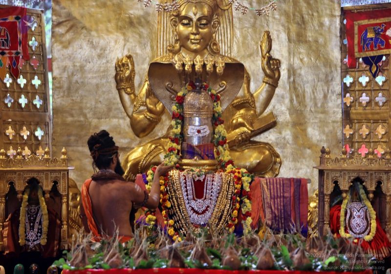 File:20201124 Photo 1037 1GyP4jbLcGGLv-g3 Bfj3YUwG3C8XKjfB.JPG