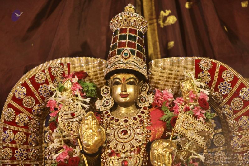 File:20201124 Photo 1038 1Kn9BX6 3U8KY7RwoyOFJvhs WIg89mMf.JPG