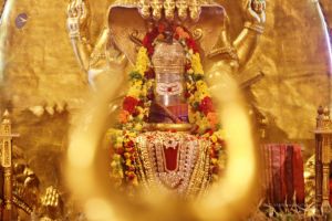 20201124 Photo 1044 1LswtqMhRY8EaVtdQJ 5nVmlM9Fm5G0Cy.JPG