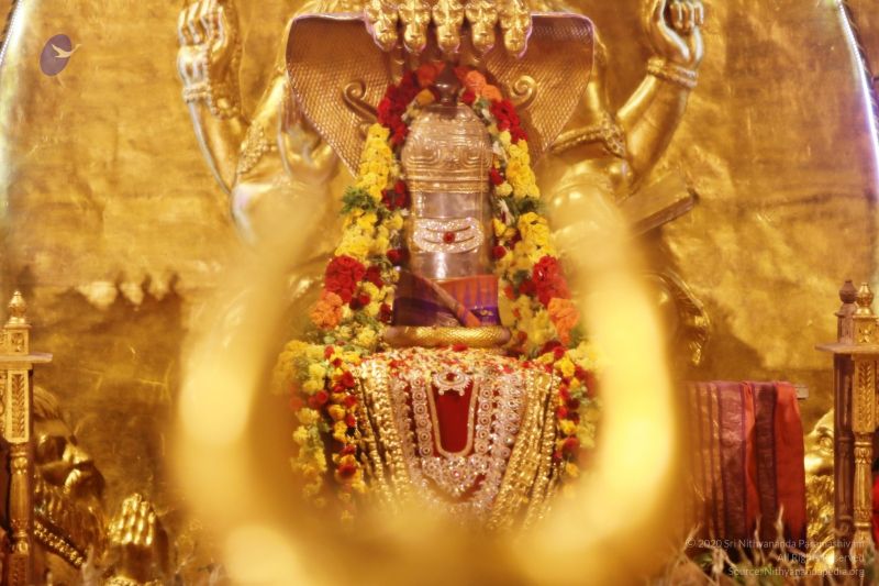 File:20201124 Photo 1044 1LswtqMhRY8EaVtdQJ 5nVmlM9Fm5G0Cy.JPG