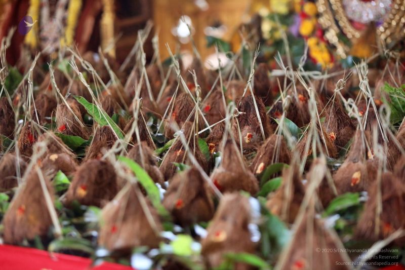 File:20201124 Photo 1047 1Dx0viHzFhOlBbFUF7rmubkMSACf3W5G7.JPG