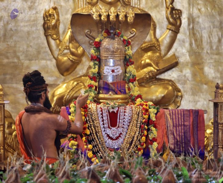 File:20201124 Photo 1048 1-kcEJuNFvfAtcq~1TFxeGbNeeRkPO4z.JPG