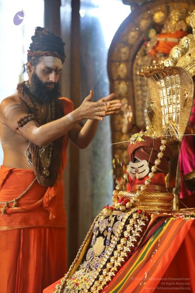 File:20201124 Photo 1050 1WcEpM7ohHFNBr5lpfcEIZvKQspZrwE1h.JPG