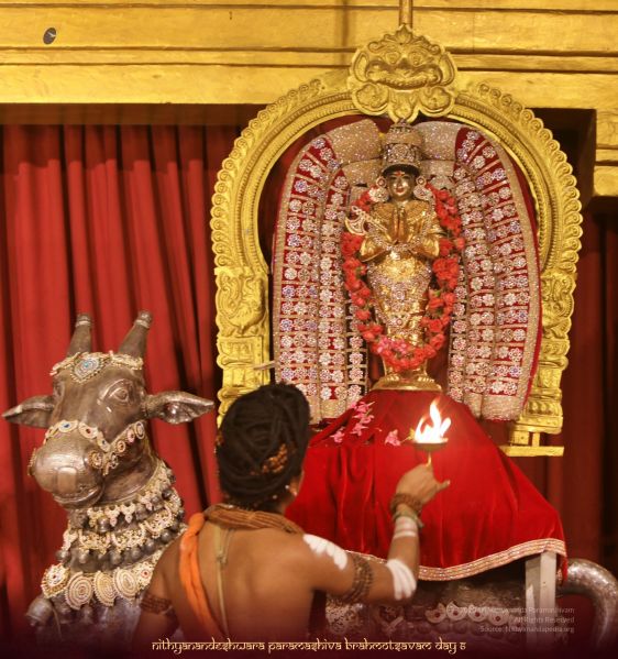 File:20201125 Photo 1000 18xgC5WPP6MurQR0V2Na5exvNqTcExg5A.JPG