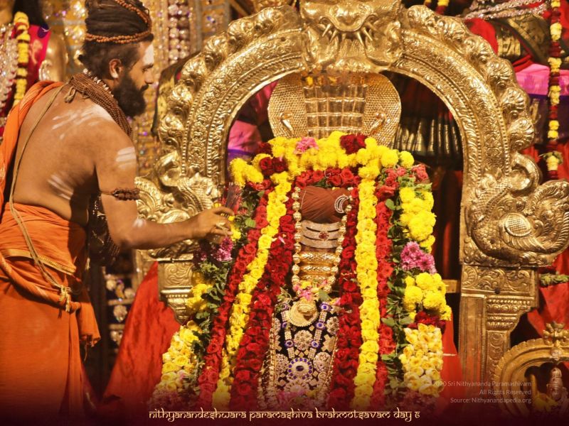 File:20201125 Photo 1010 1Xt8fMHtc8eZMwmP0QzQDqv5tMFMy9alY.JPG