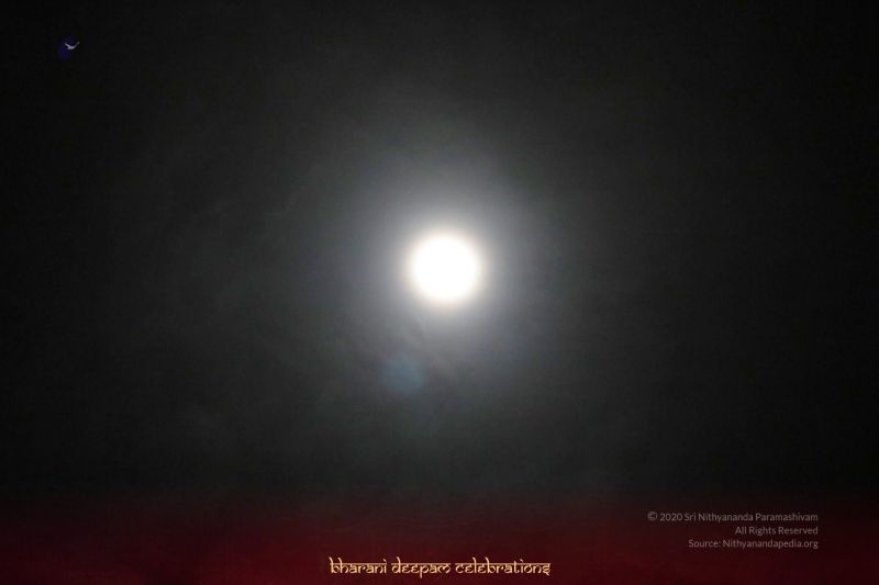 File:20201129 Photo 1002 1Cy1-wuOo8PzYy8sZc3g2QPv-bOsb4M0W.JPG