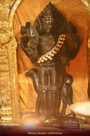 20201129 Photo 1047 1TOGA8aixLtGiW52RGS3pYGtLUnAyVyA5.JPG