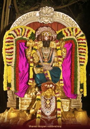 20201129 Photo 1075 1UJrexb-8B3tQUjAnz1su3pnSyWIk4PiI.JPG