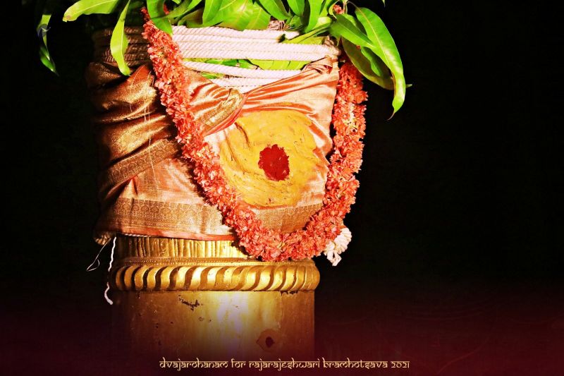 File:20210217 1051 149319317 FB.jpg