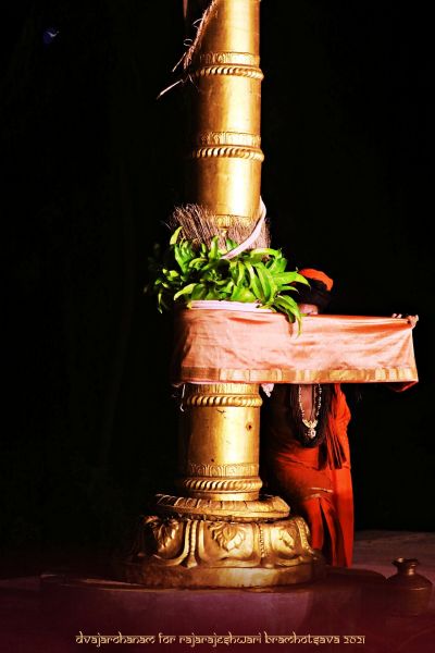 File:20210217 1054 151758370 FB.jpg